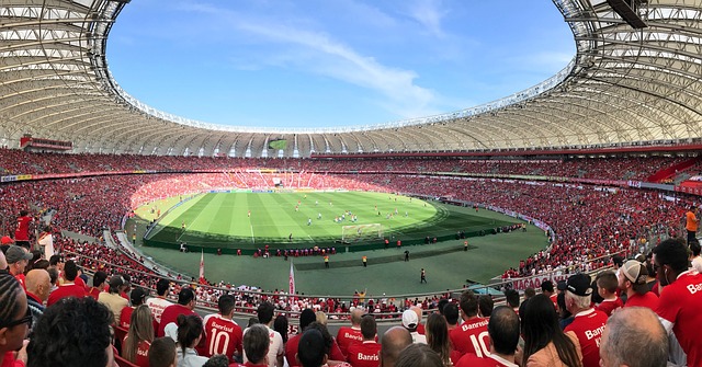 部及其球迷